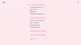 Adoption Support Now Responsive Web Design