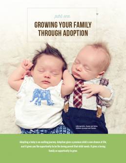 LifeLong Adoption Guide